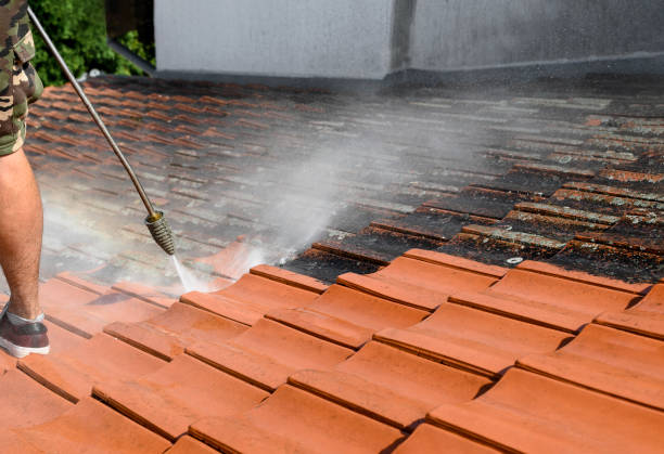 Best Commercial Pressure Washing  in Ina, IL